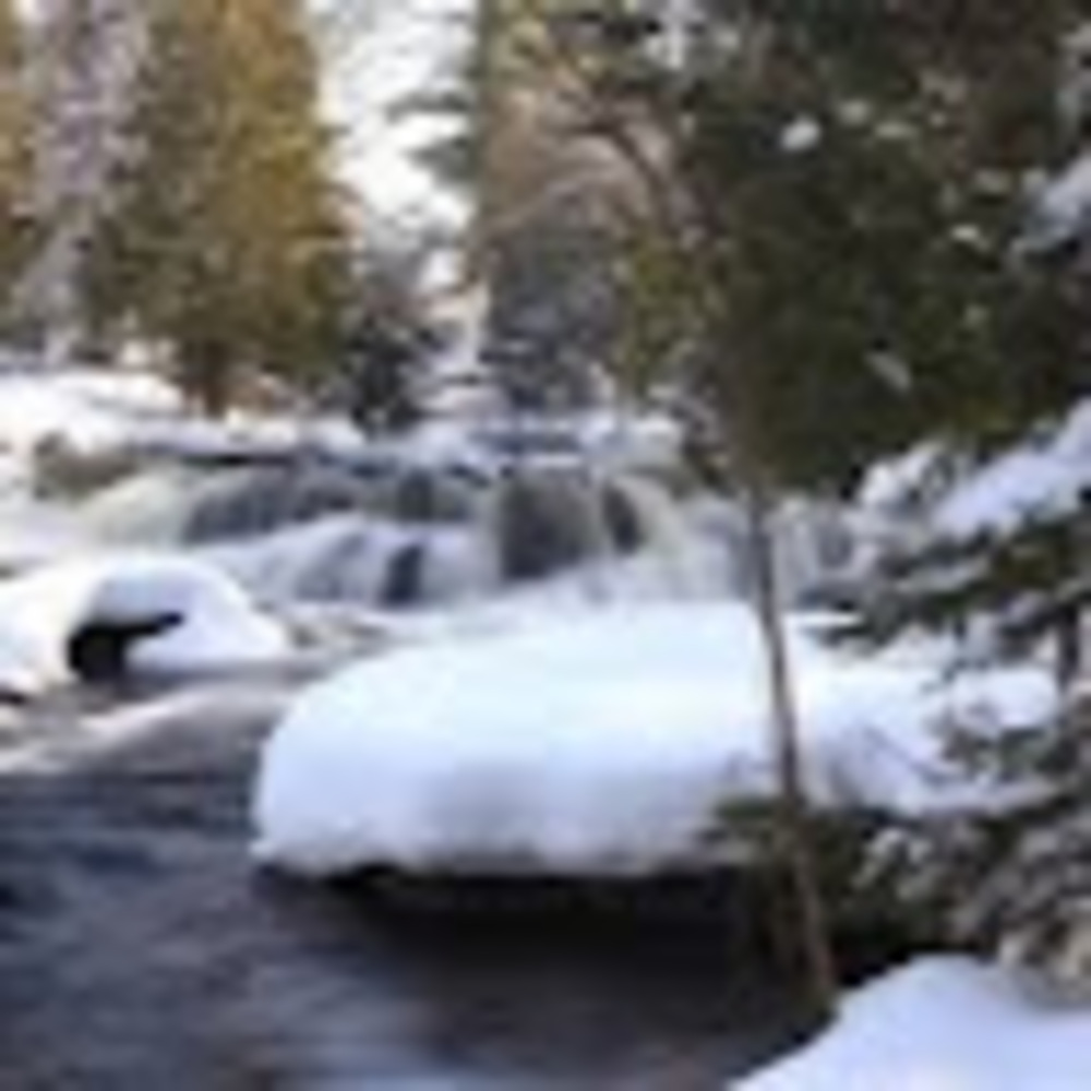 Meet your Posher, Abigail